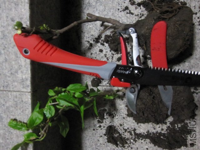 ��Ƭ 023.jpg