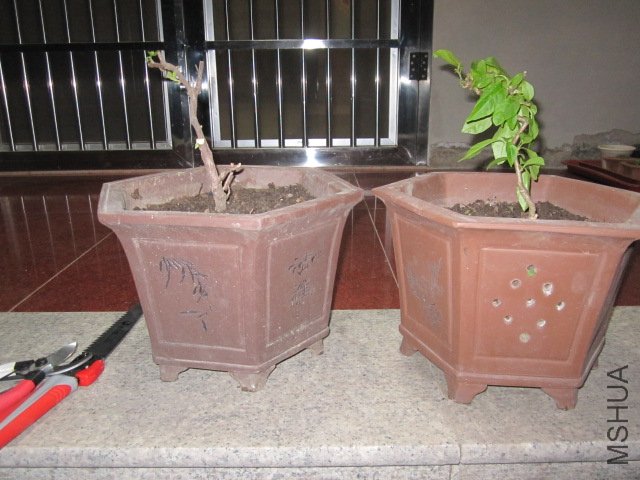 ��Ƭ 027.jpg