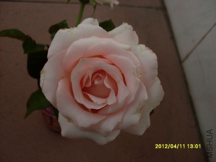 SDC11869_nEO_IMG.jpg