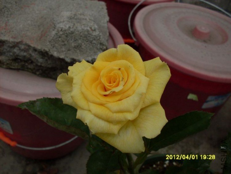 SDC11766_nEO_IMG.jpg