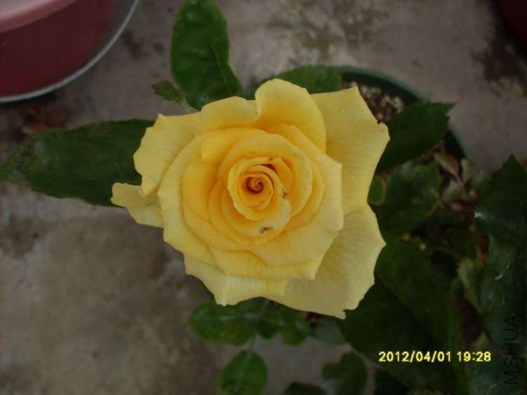 SDC11767_nEO_IMG.jpg
