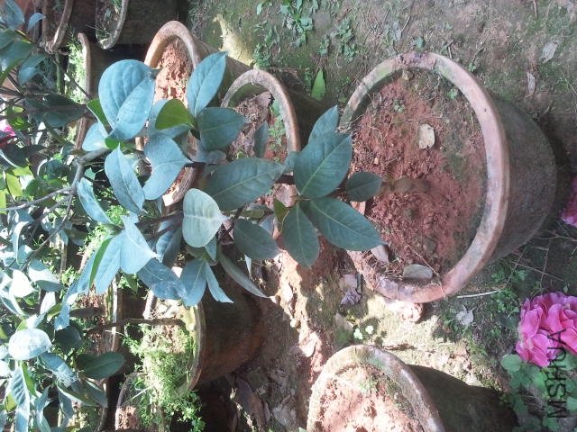 2012-03-24 12.22.37.jpg