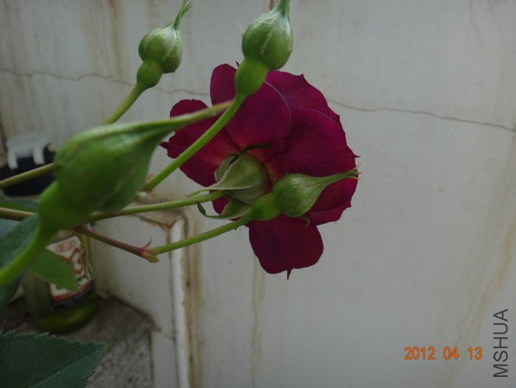 16-DSC01331.JPG