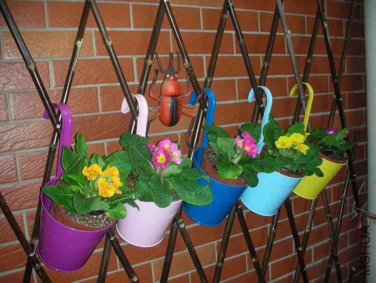 DSCN5483.JPG
