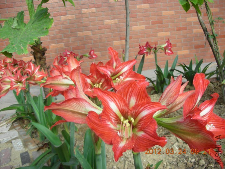 DSCN6133.JPG