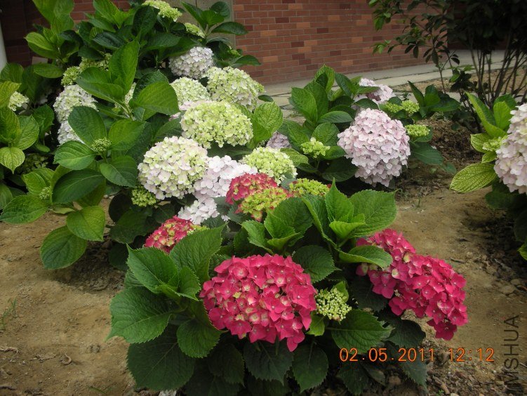 DSCN4836.JPG