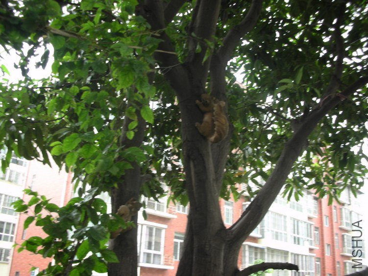 DSCN4986.JPG