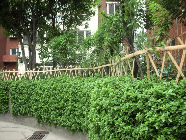 DSCN4995.JPG