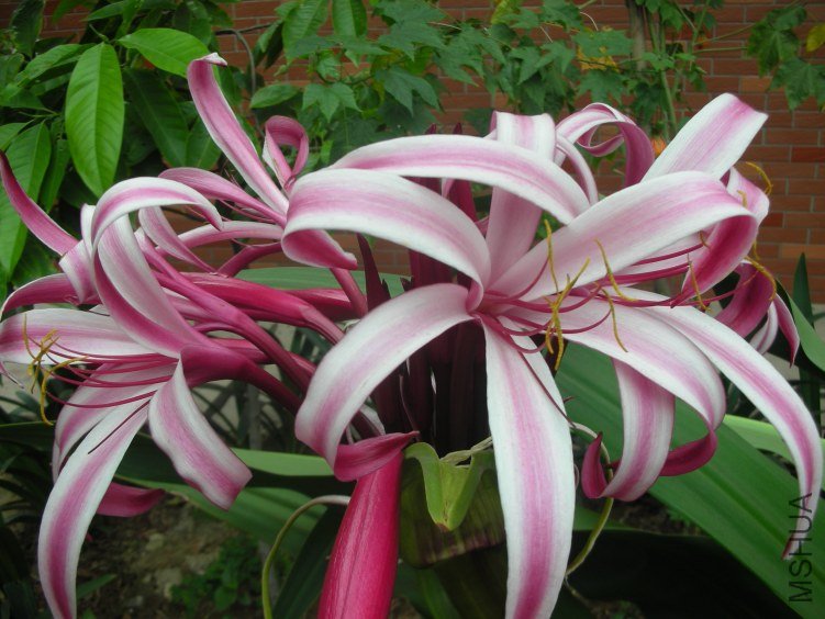 DSCN5275.JPG