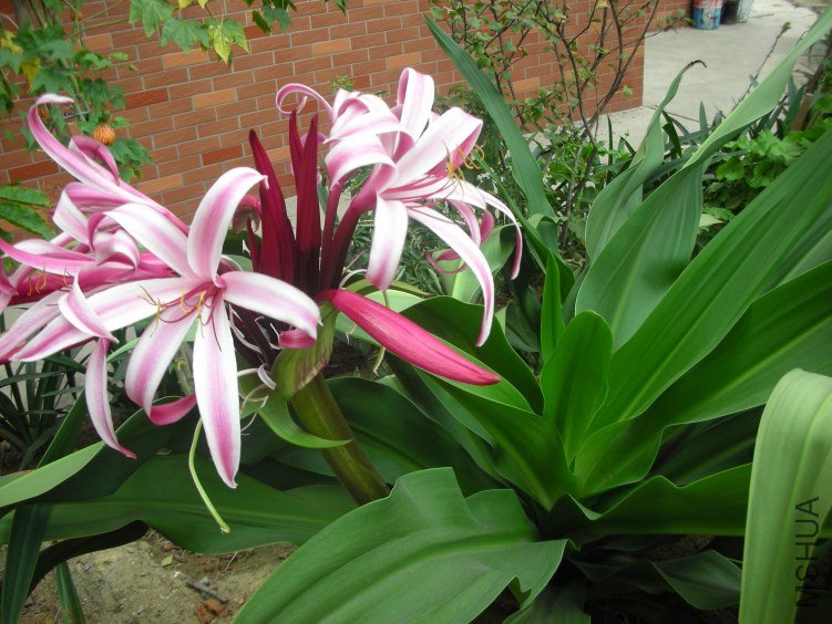 DSCN5276.JPG