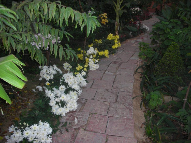 DSCN5519.JPG
