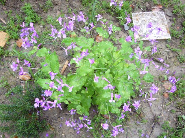 ������20120413 02.JPG