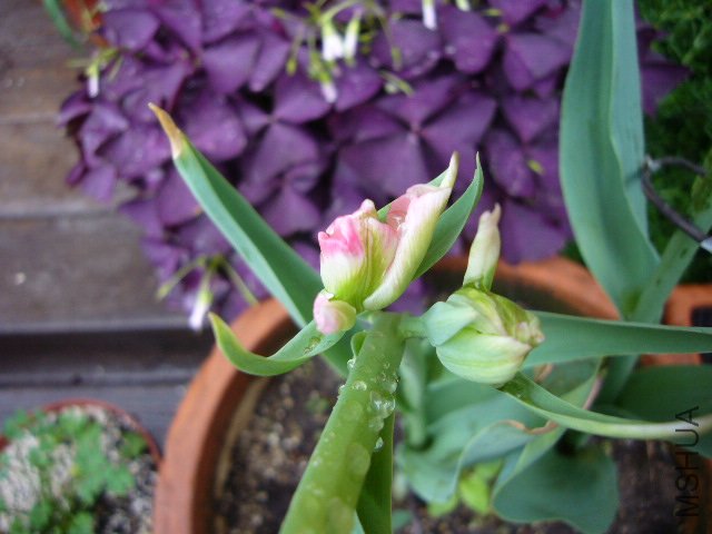 ��ʹ��С���� 01.JPG