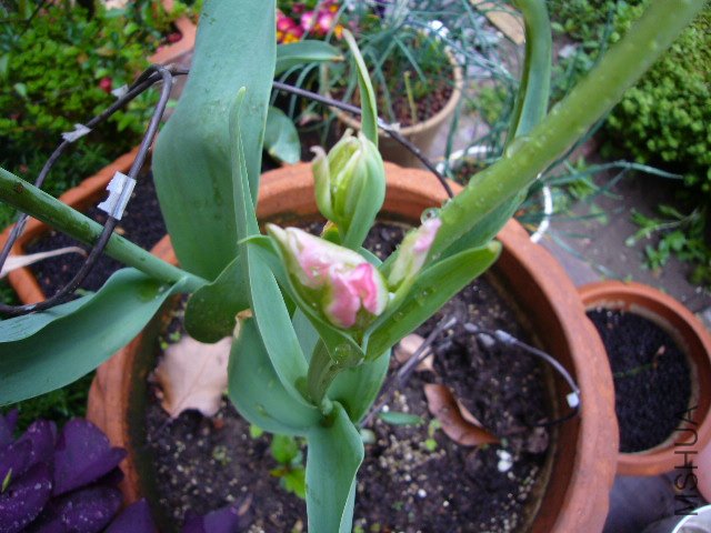 ��ʹ��С���� 02.JPG