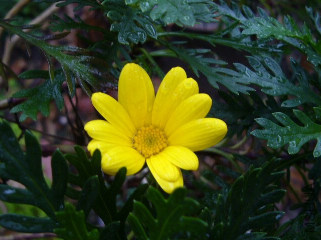 �������20120413 01.JPG