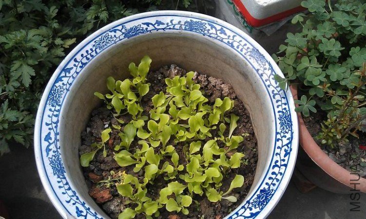 ����һ������ǰ����Ƭ