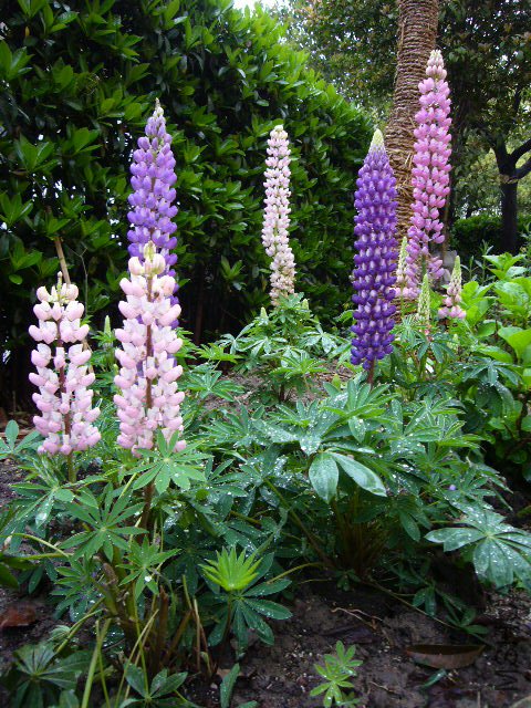 ³����20120413 01.JPG