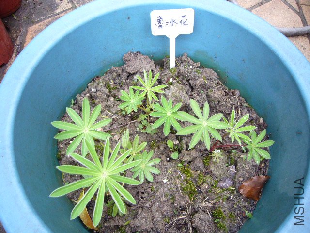 ³����С��20120413 01.JPG