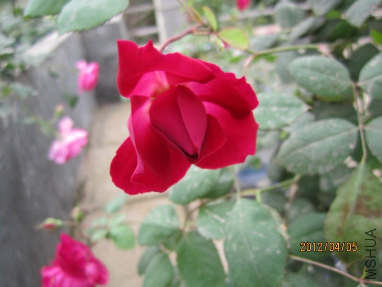IMG_2743.JPG
