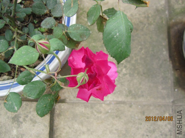 IMG_2760.JPG