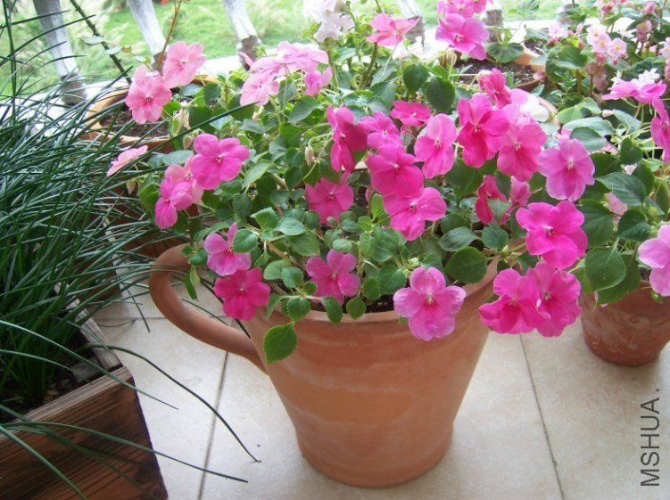 �������ڵ����ӣ�