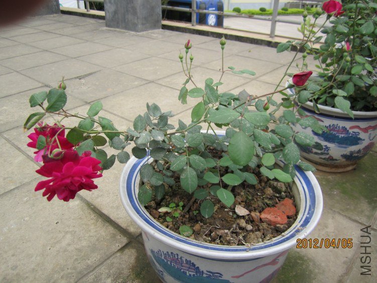 IMG_2787.JPG