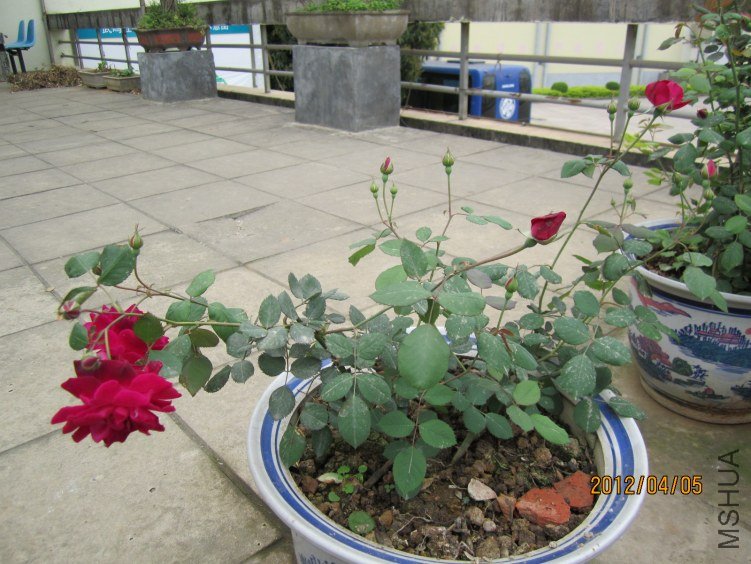 IMG_2789.JPG