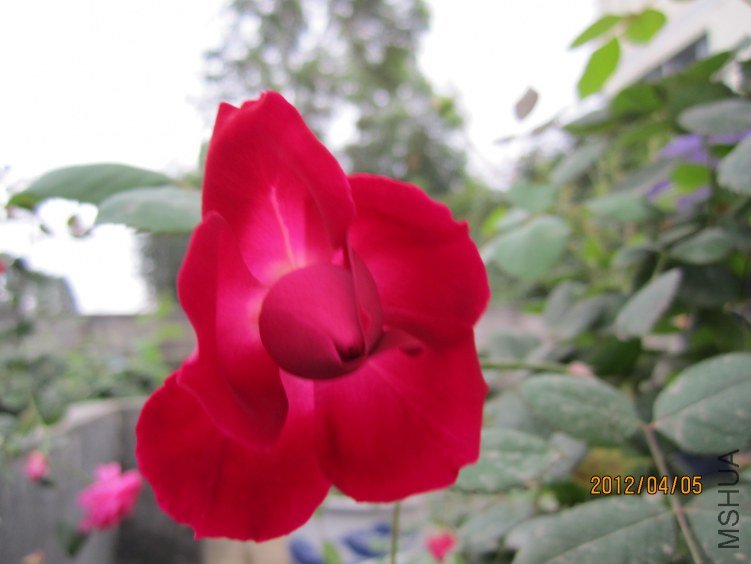 IMG_2847.JPG