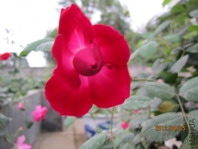 IMG_2848.JPG