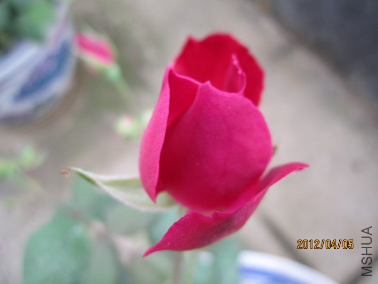 IMG_2853.JPG