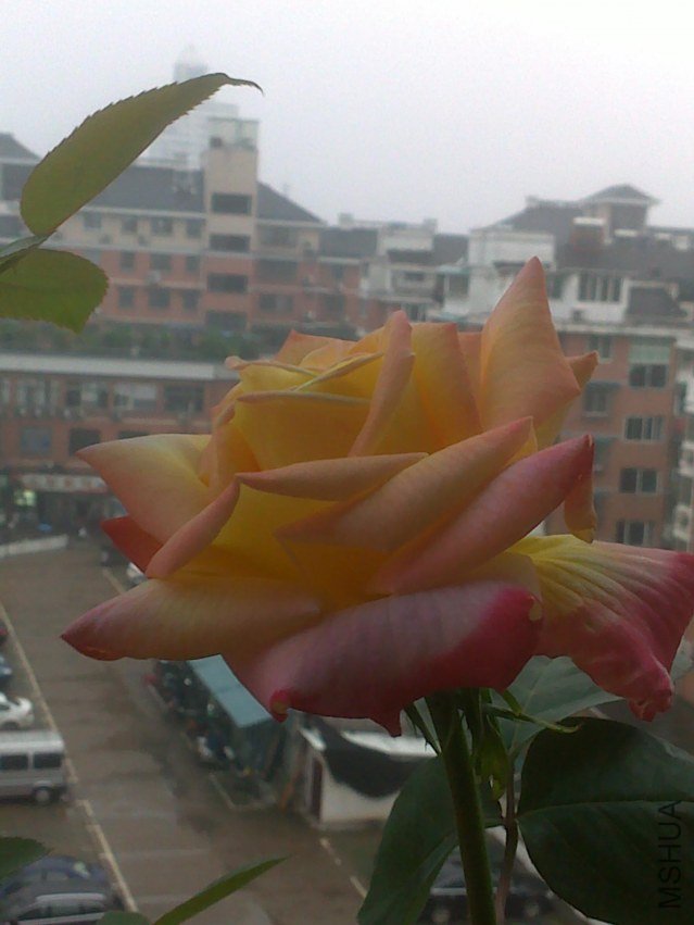20120412437.jpg