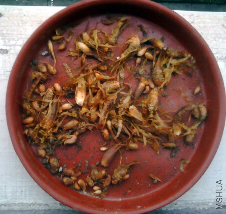 20120413170700950.jpg