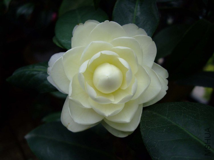 �ƴ� 2012-4-13f 061.jpg