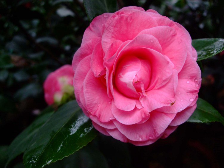��� 2012-4-13f 031.jpg