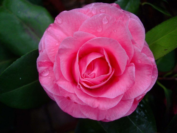 ��� 2012-4-13f 029.jpg