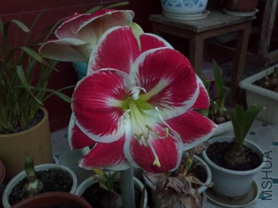 image002.jpg
