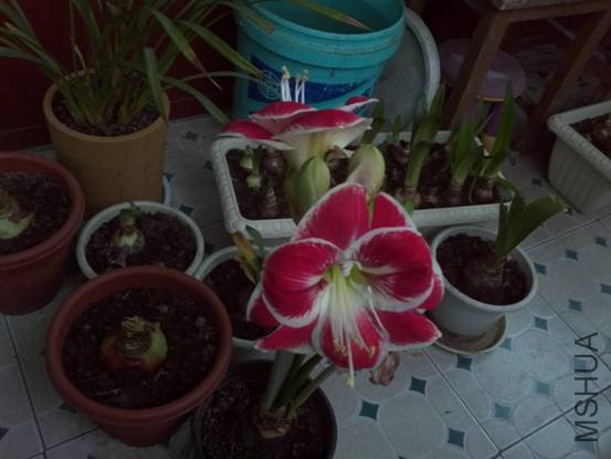 image008.jpg
