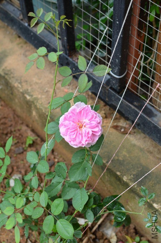 DSC_3970.JPG