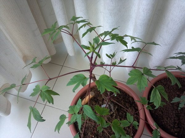 2012-04-13_07-28-39_353.jpg