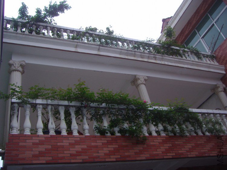 P1013137.jpg