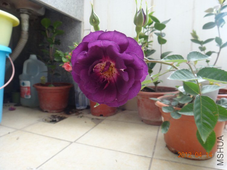 3-DSC01407.JPG