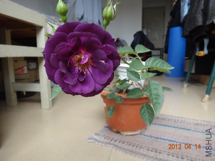 4-DSC01409.JPG