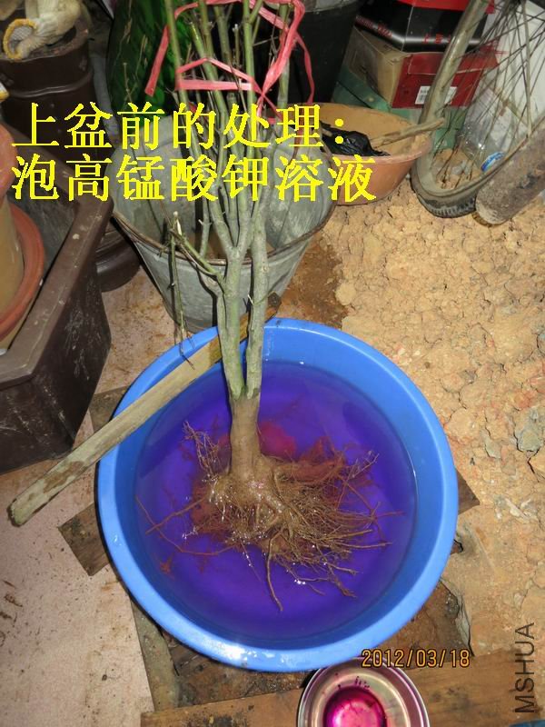 ����ǰ�Ĵ���.jpg