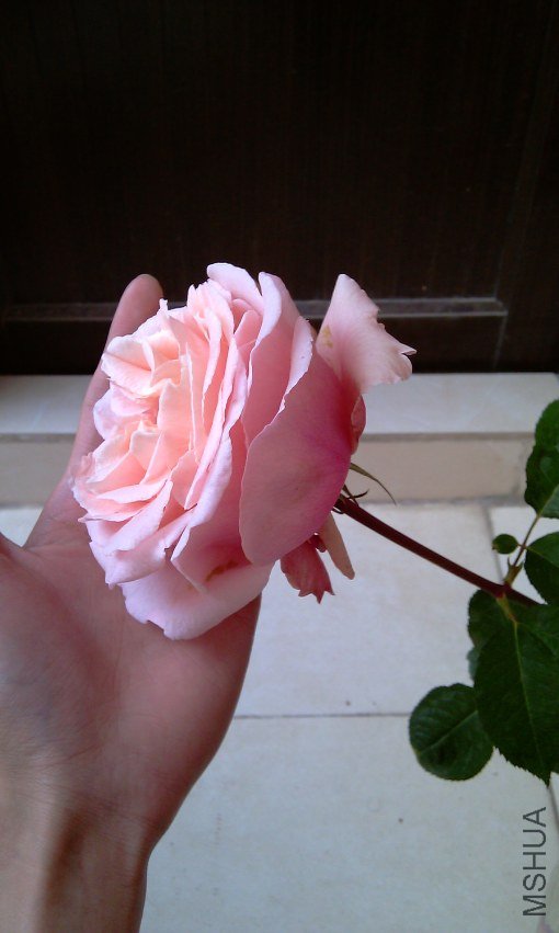 IMAG0135.jpg