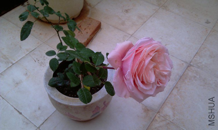 IMAG0138.jpg