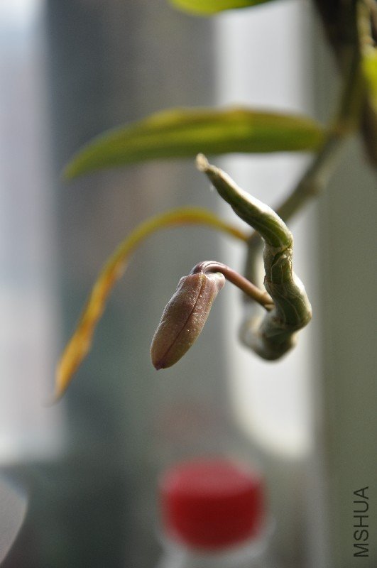 DSC_0588.JPG