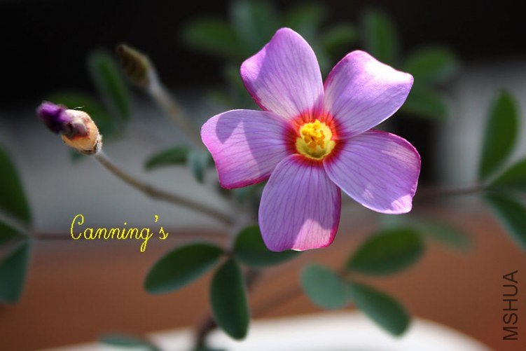 ��Ƭ 018.jpg