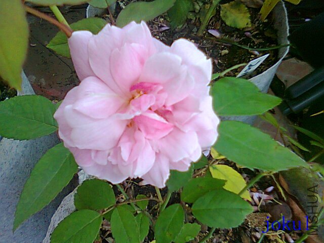 ��Ƭ0944_����.jpg