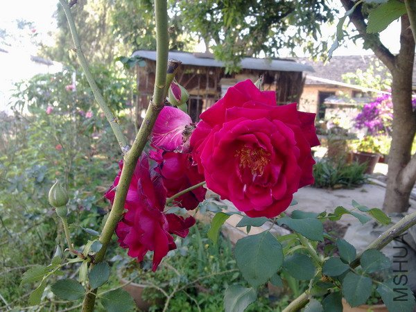 20120110 258.jpg