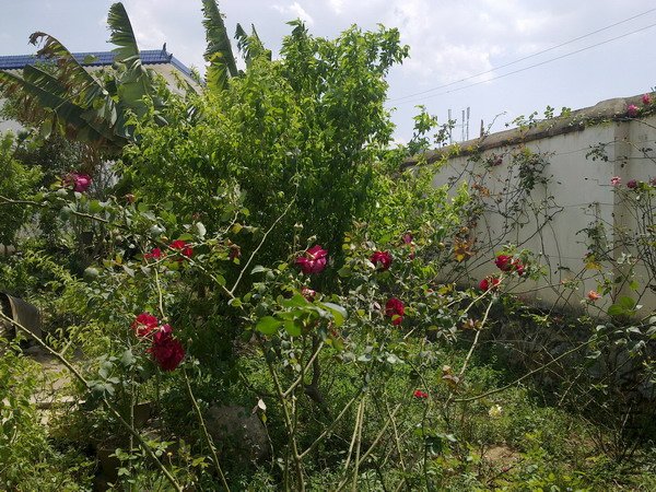 20120110 253.jpg